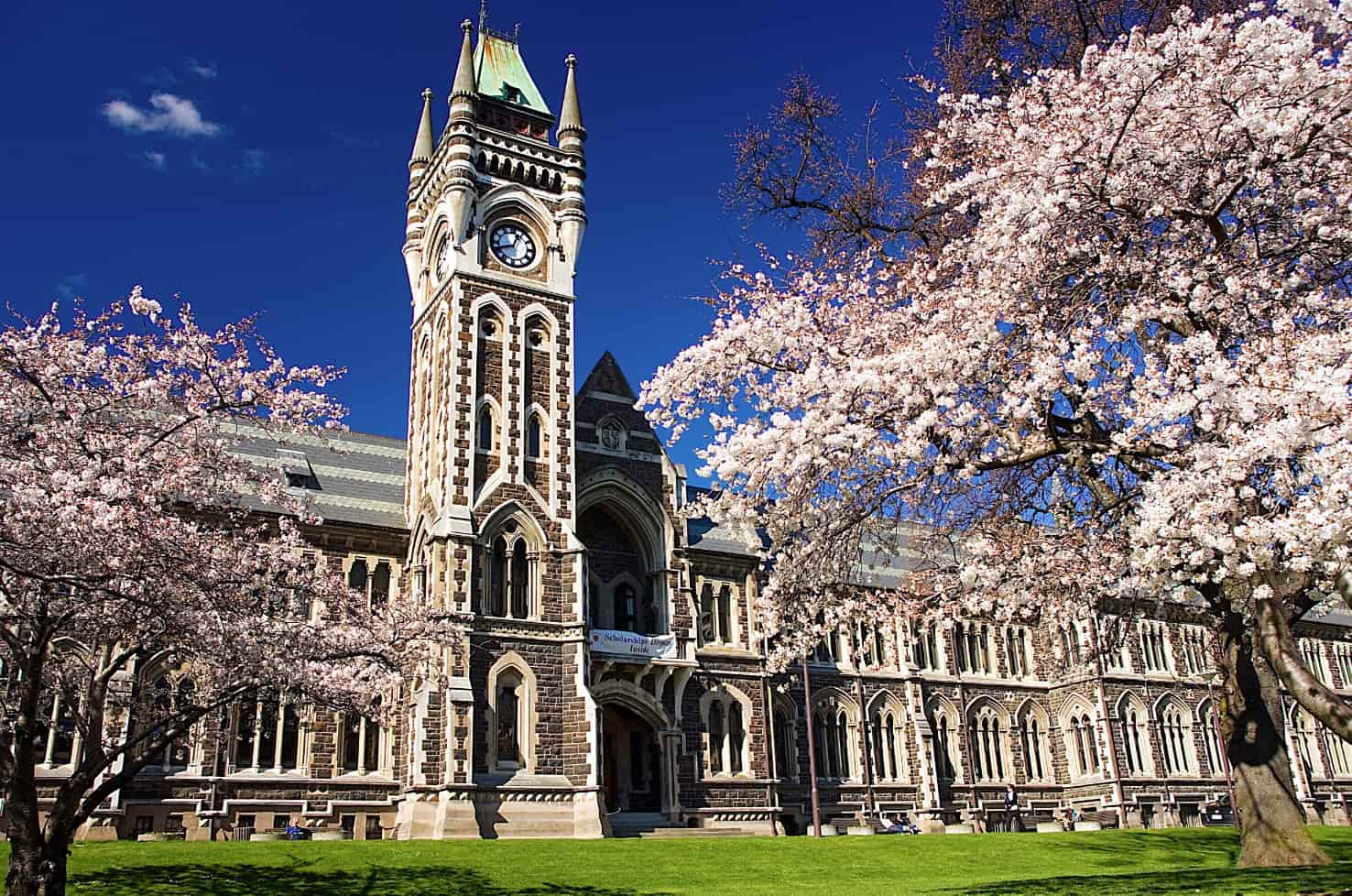 Университеты Новой Зеландии